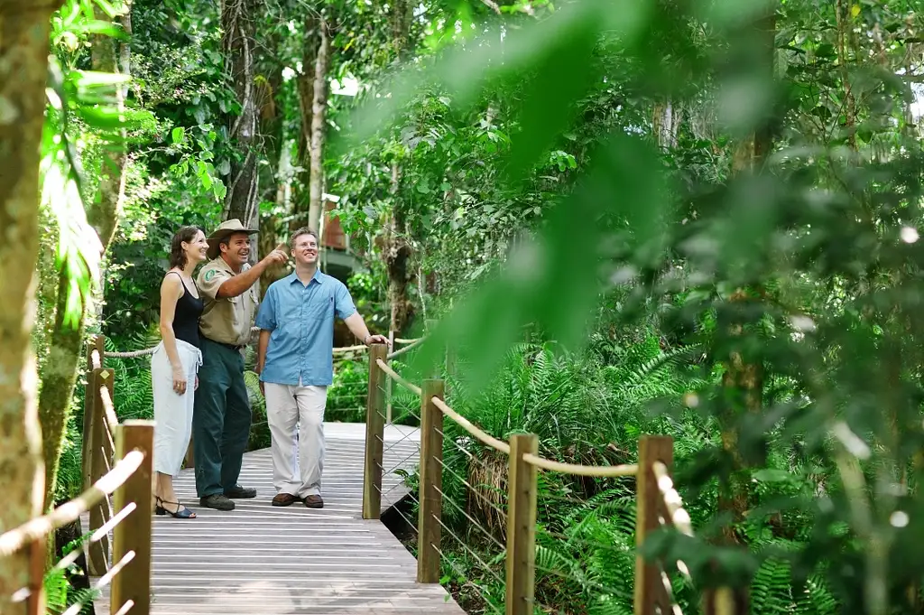 Kuranda Skyrail and Scenic Rail Gold Class