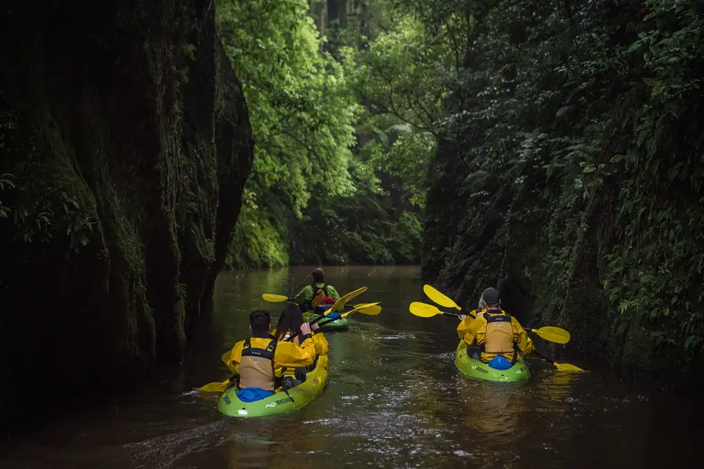 Lake Karapiro Daytime Canyon Kayak Tour