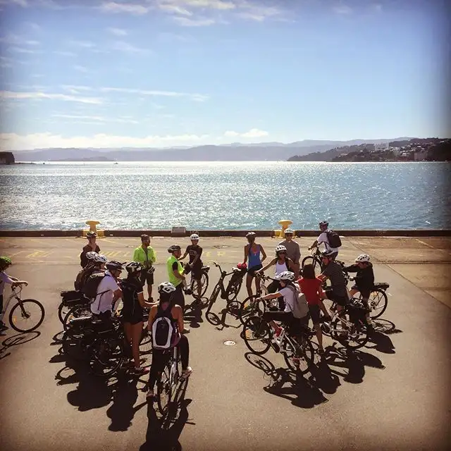 Half Day Wellington & Surrounds E-bike Tour