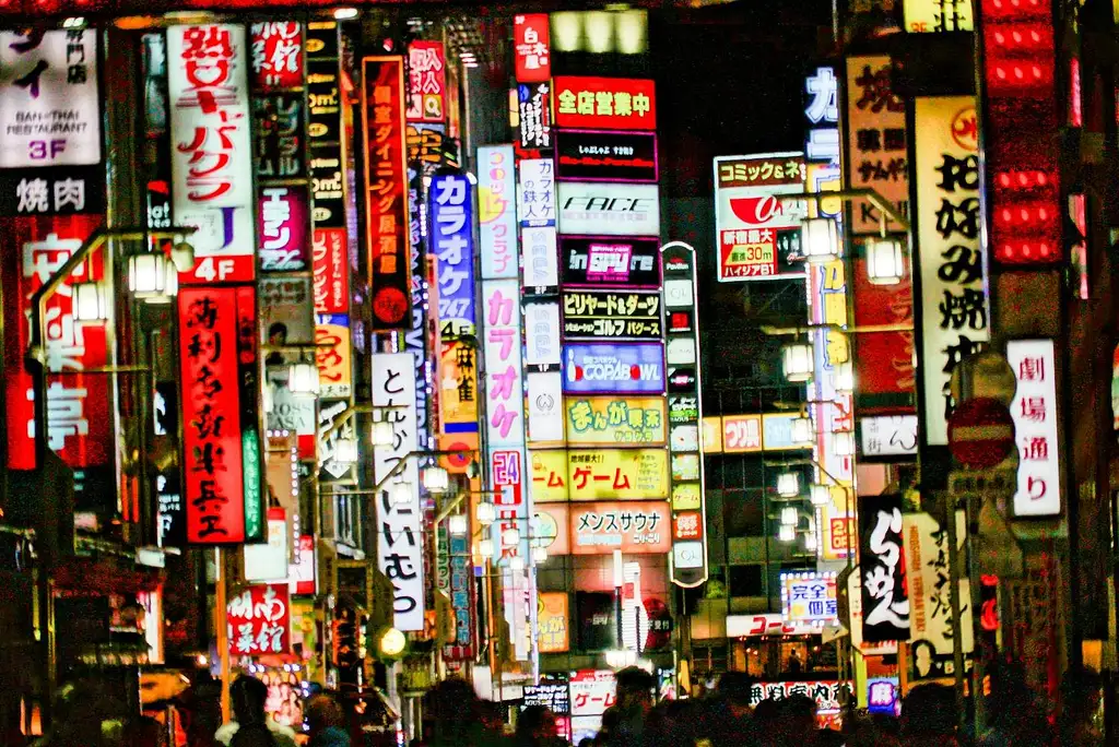 Bar-Hopping Night Tour In Shinjuku