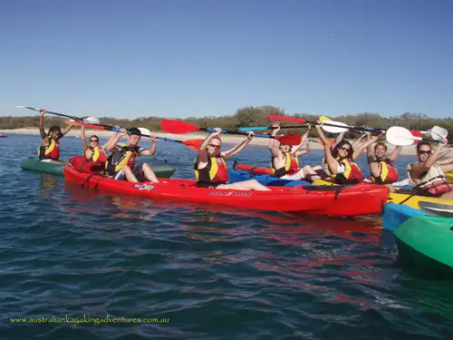 Morning Dolphin Kayaking & Snorkelling Tour