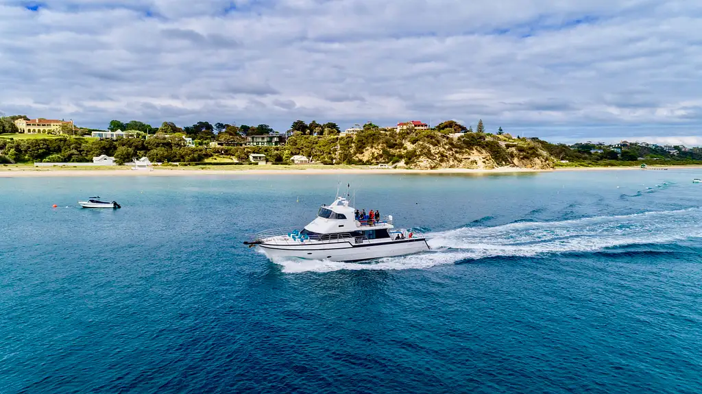 Port Phillip Bay Wildlife Adventure Cruise