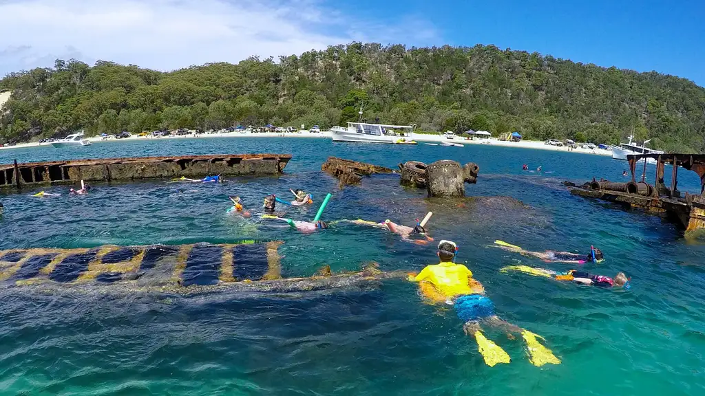 Moreton Island Dolphin & Tangalooma Wrecks Day Tour