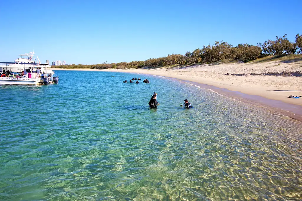 Gold Coast Single Dive