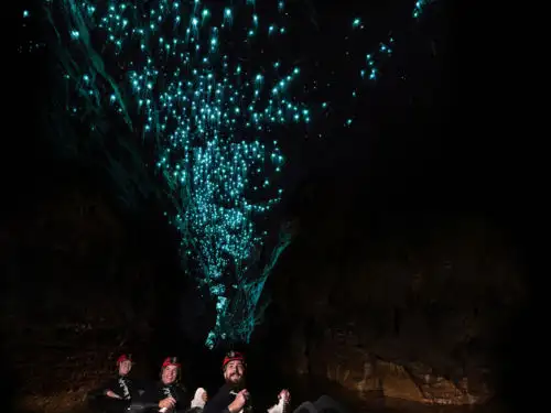 Glow Worm Cave Tour from Gold Coast