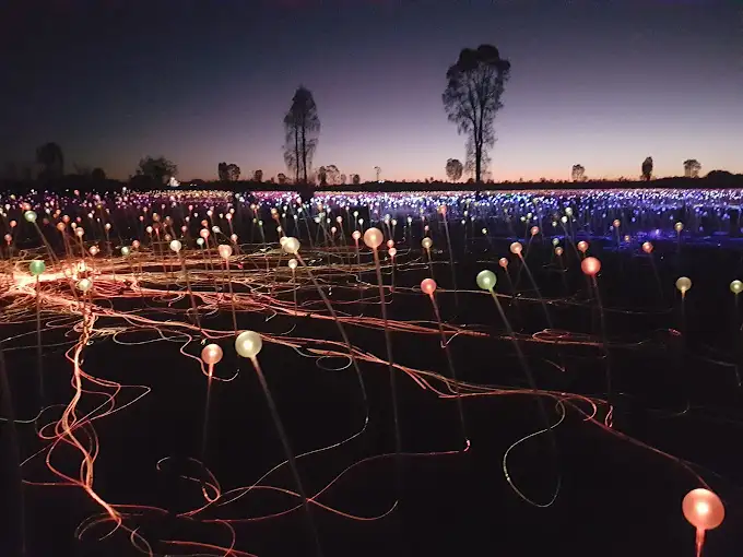 Uluru Sunrise & Field of Light (FOL)