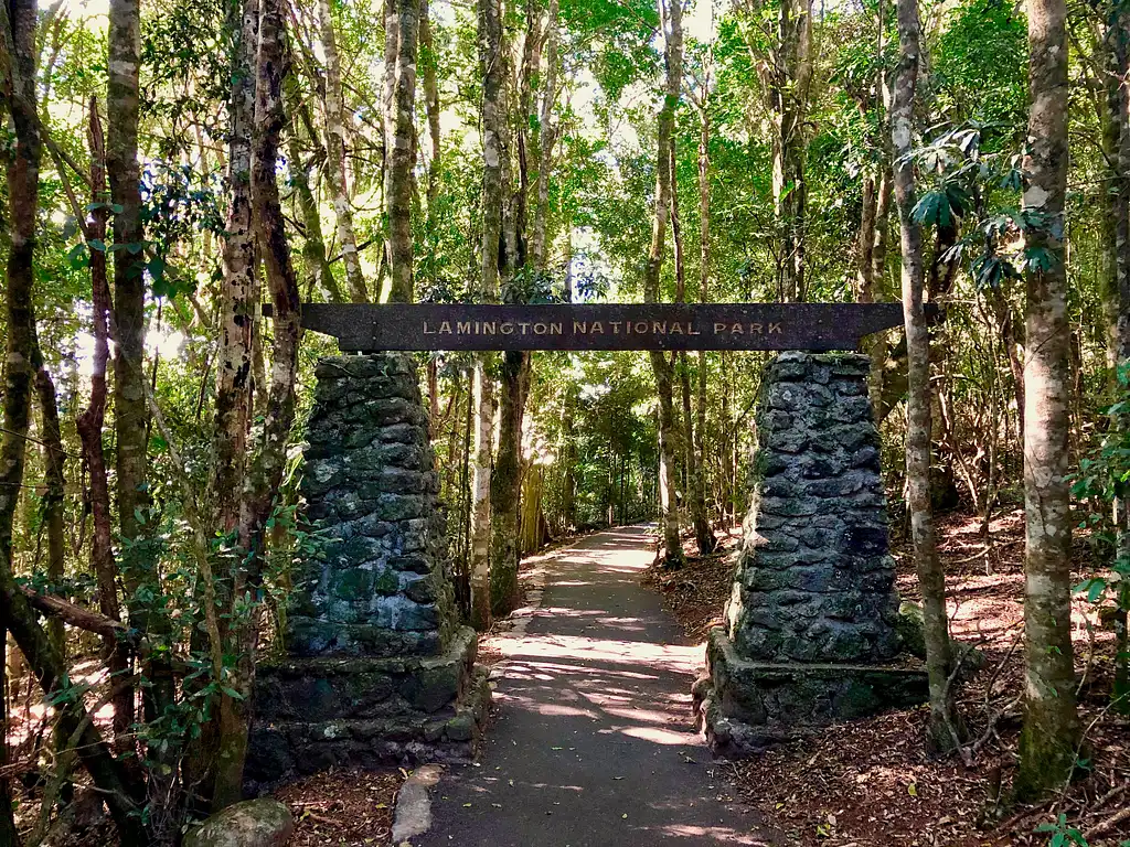 Rainforests of Lamington Wilderness Tour from the Gold Coast