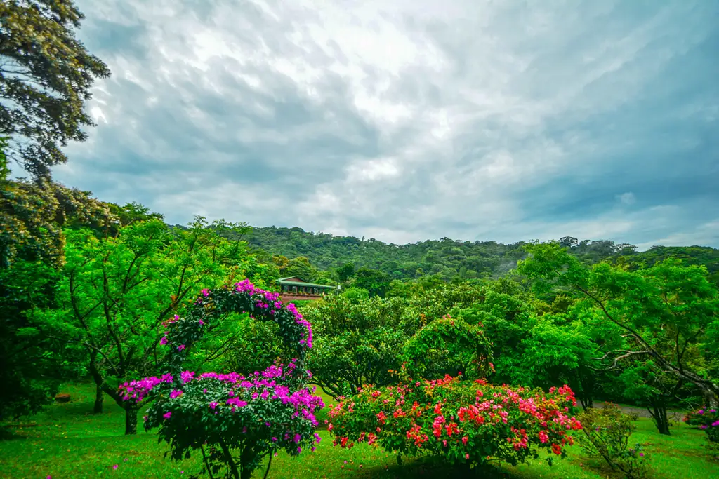 Cloud Forest Chills at Monteverde