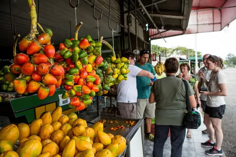 San Jose By Night: Food And Culture Tour