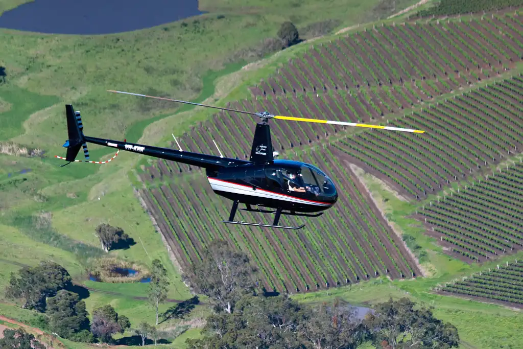 Sydney & the Hunter Scenic Helicopter Flight