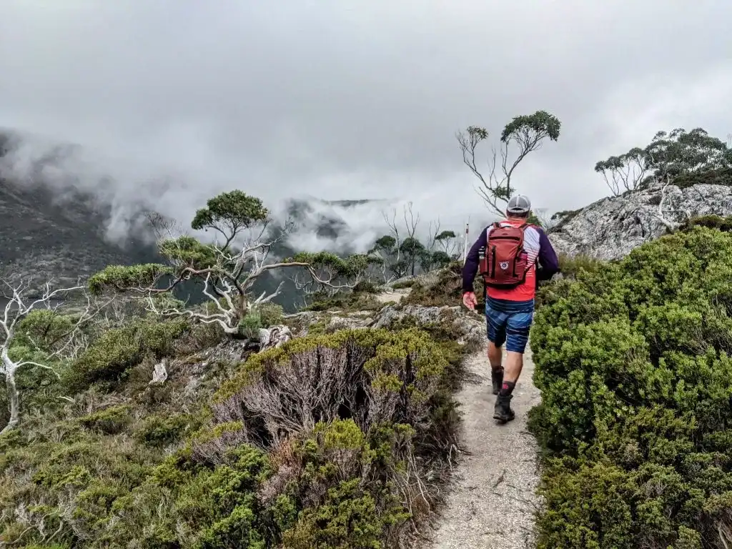 4 Day Wulinantikala/Cradle Mountain Hiking Tour