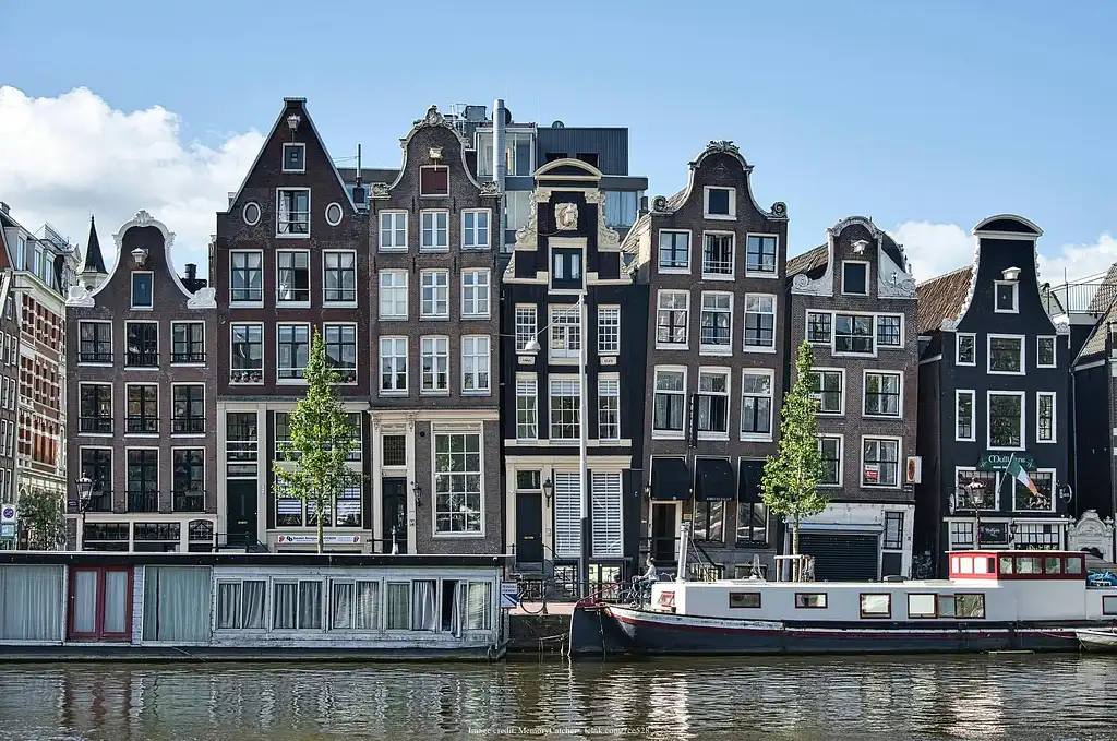 Best of Amsterdam private half-day tour with canal cruise tickets