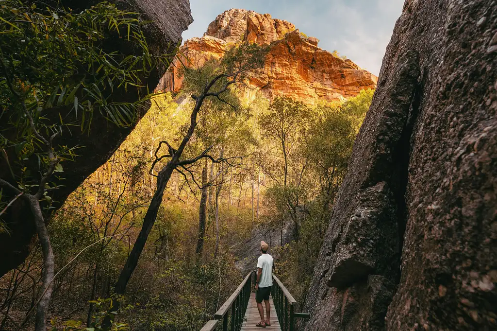 Kakadu Overnight Retreat & Yellow River From Darwin (Nov - Mar)