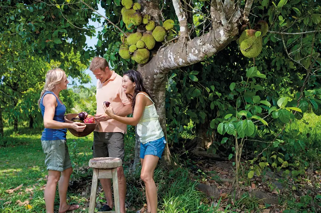 Outback Tasting Tour From Port Douglas