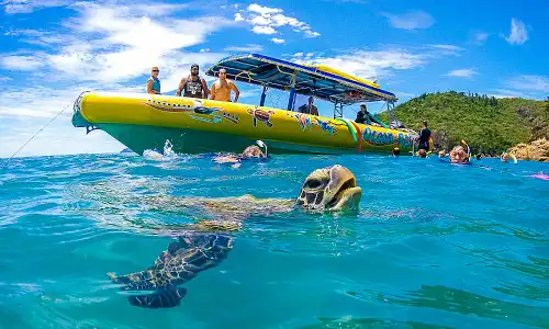 Whitsundays Tours and Activities