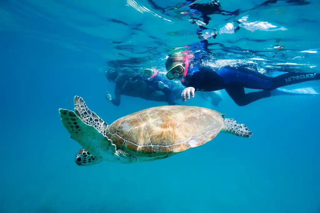 Great Keppel Island Ferry Transfers