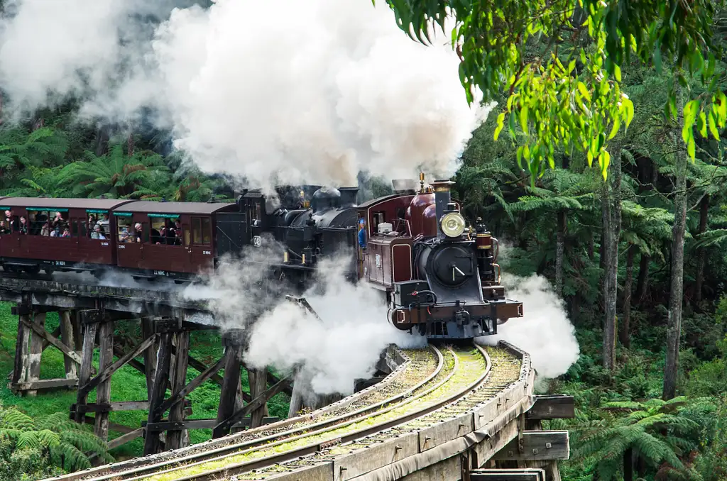 Puffing Billy & Healesville Sanctuary Scenic Bus Tour