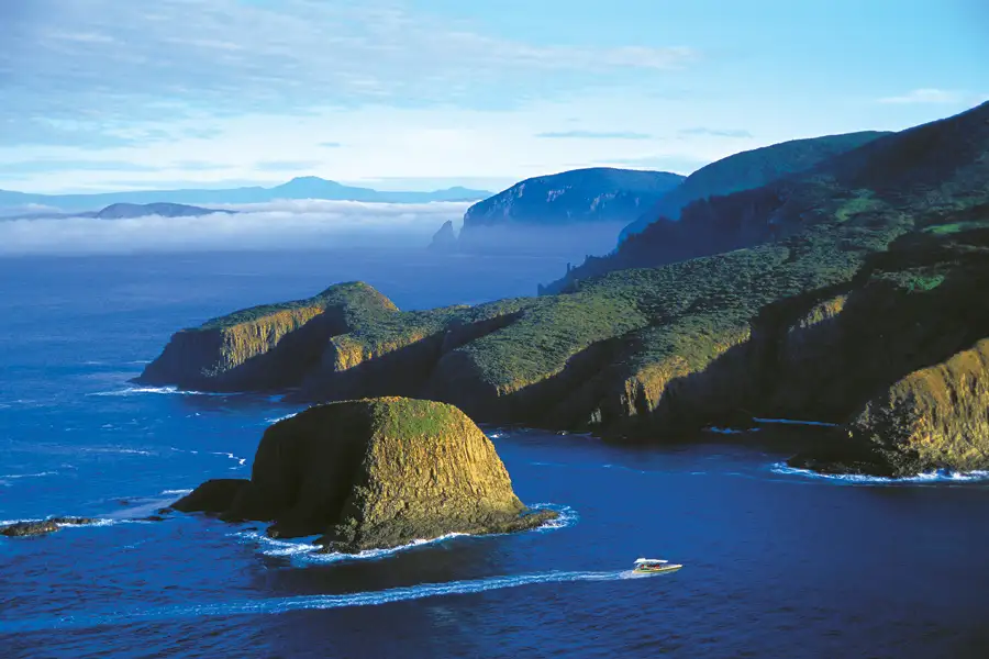 Wilderness Cruise From Bruny Island