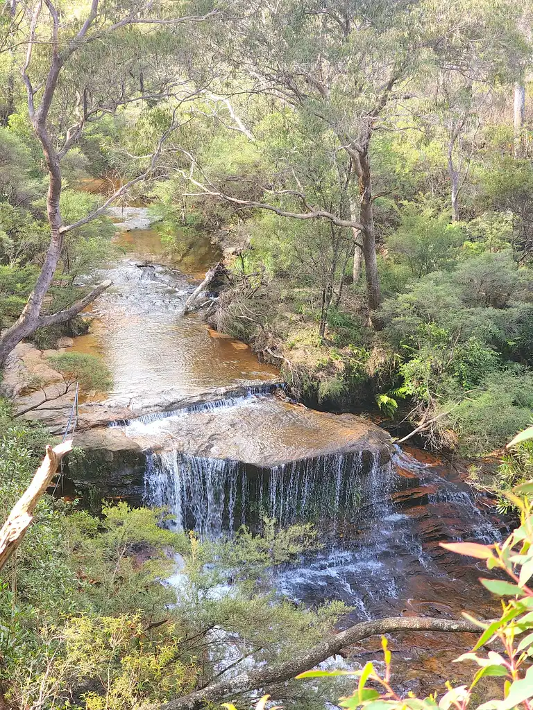 Blue Mountains Full Day Adventure with Lunch | Departing Sydney