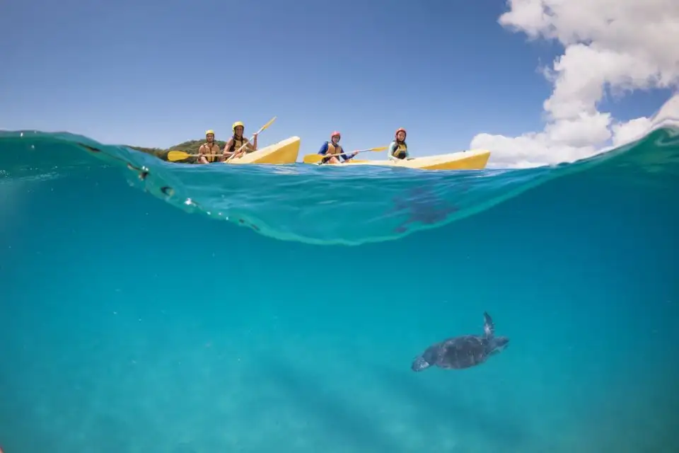 Byron Bay Dolphin Sea Kayak Tour