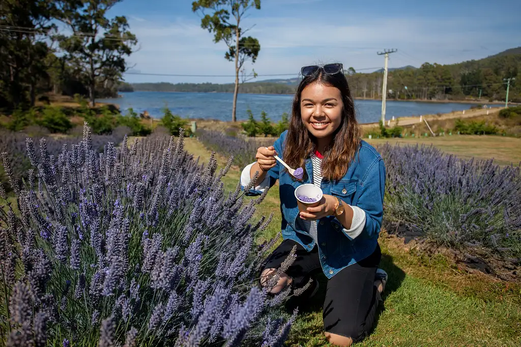 Port Arthur, Richmond And A Lavender Farm From Hobart