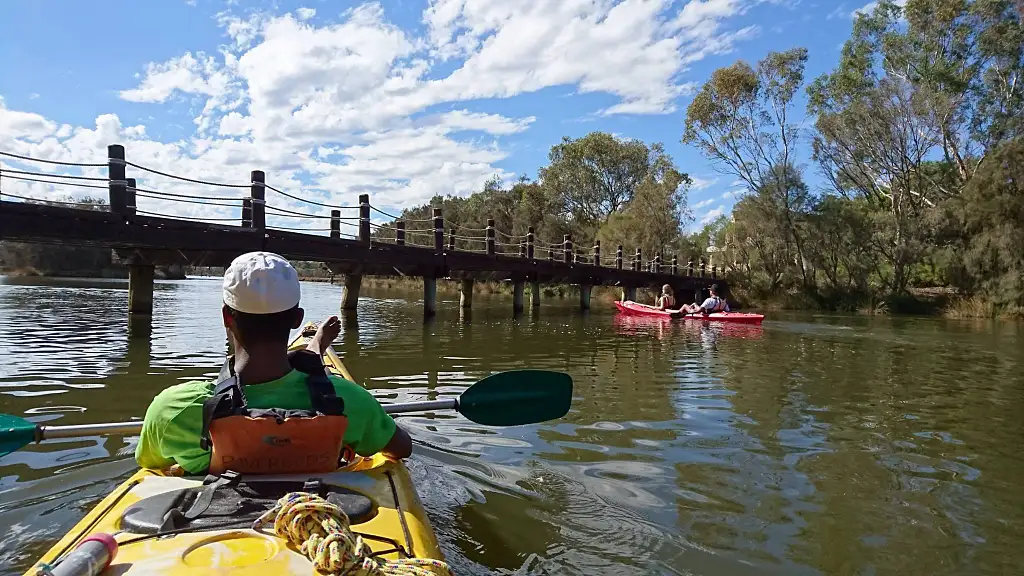 Swan River Kayak Tour