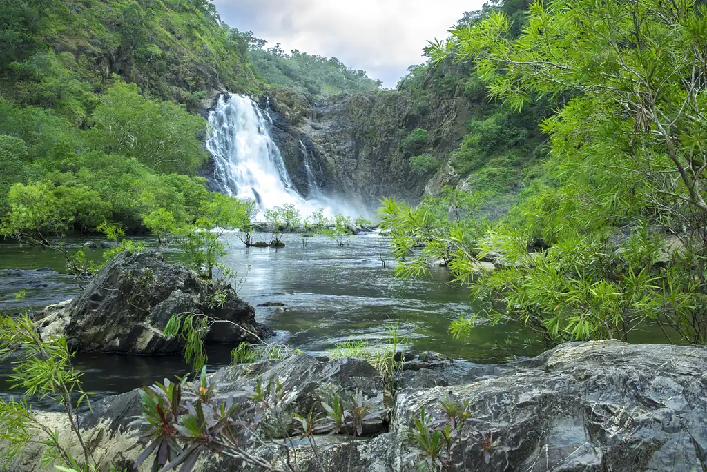 2-Day 4WD Cooktown and Daintree Tour