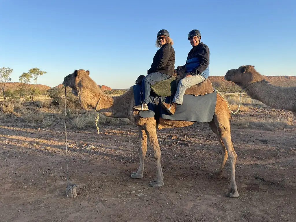 Sunset Camel Ride Alice Springs