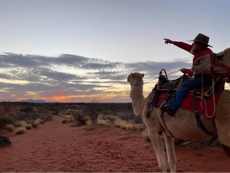 Uluru Sunrise Camel Experience