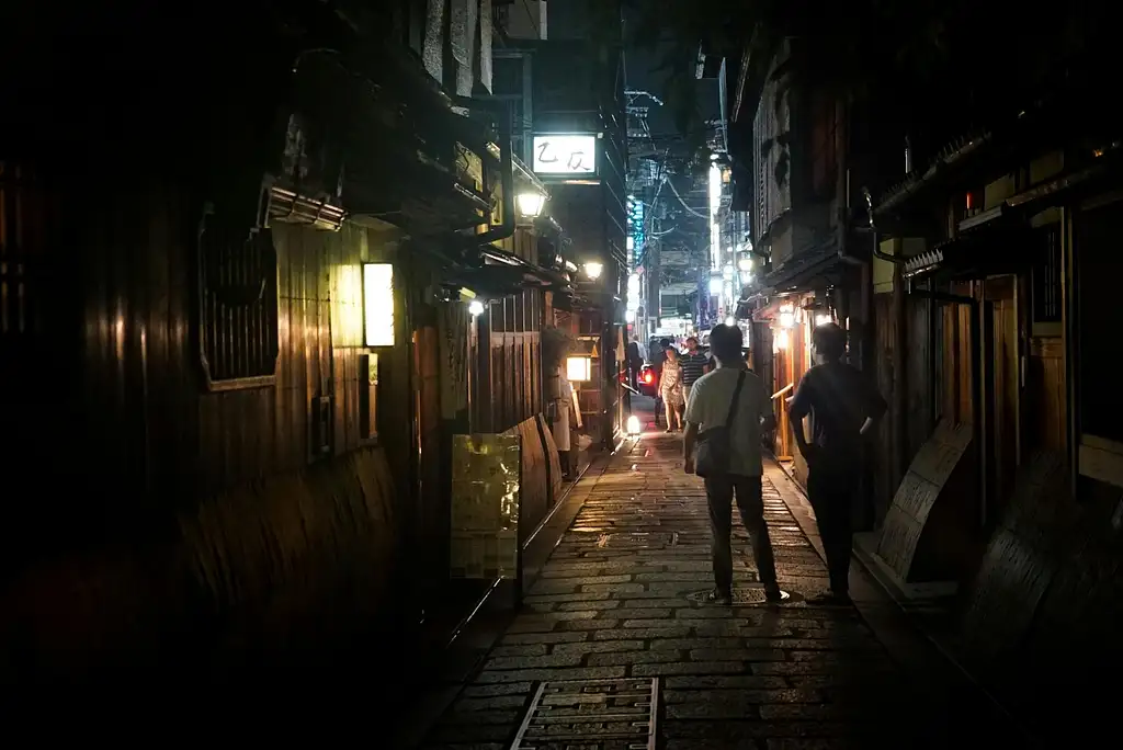 Gion Walking Tour and Dinner with a Maiko in Kyoto