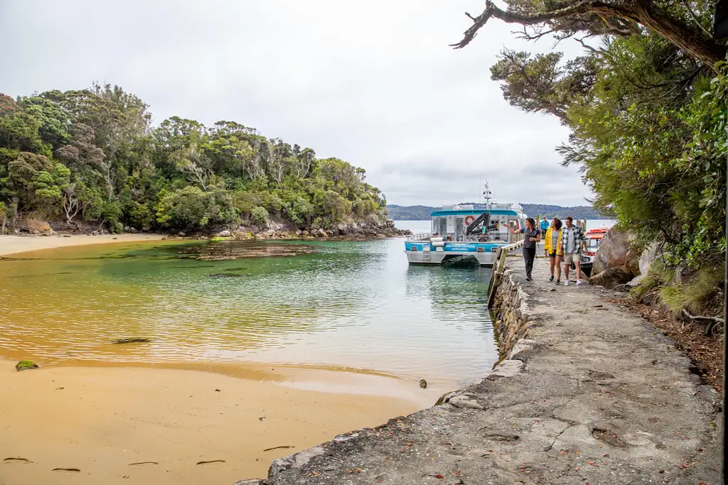 Ulva Island Explorer