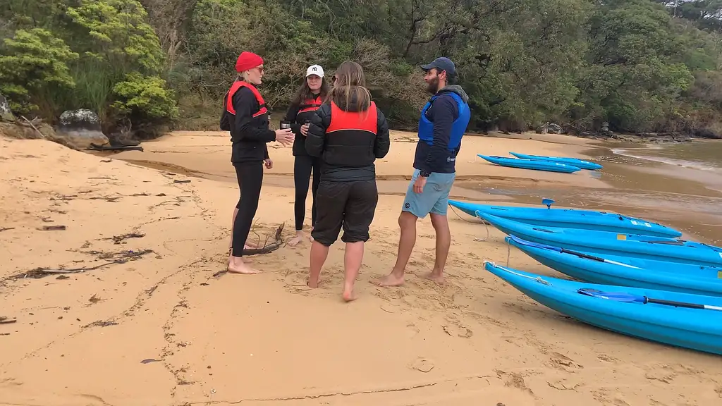 Guided Kayak Tour - Manly Cove