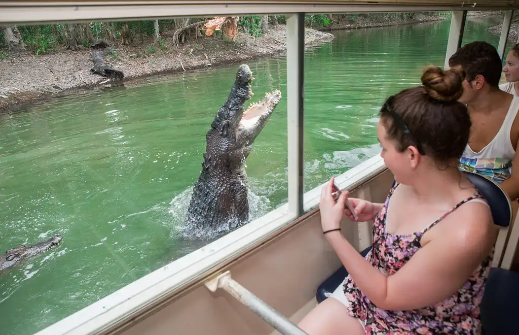 Hartley's Crocodile Adventures Half Day Tour