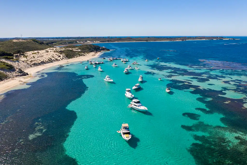 Rottnest Island Bayseeker Package | Ferry & Bus Tour From Perth or Fremantle