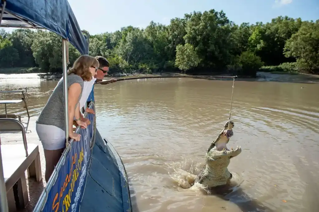 Jumping Crocodile Tour from Darwin