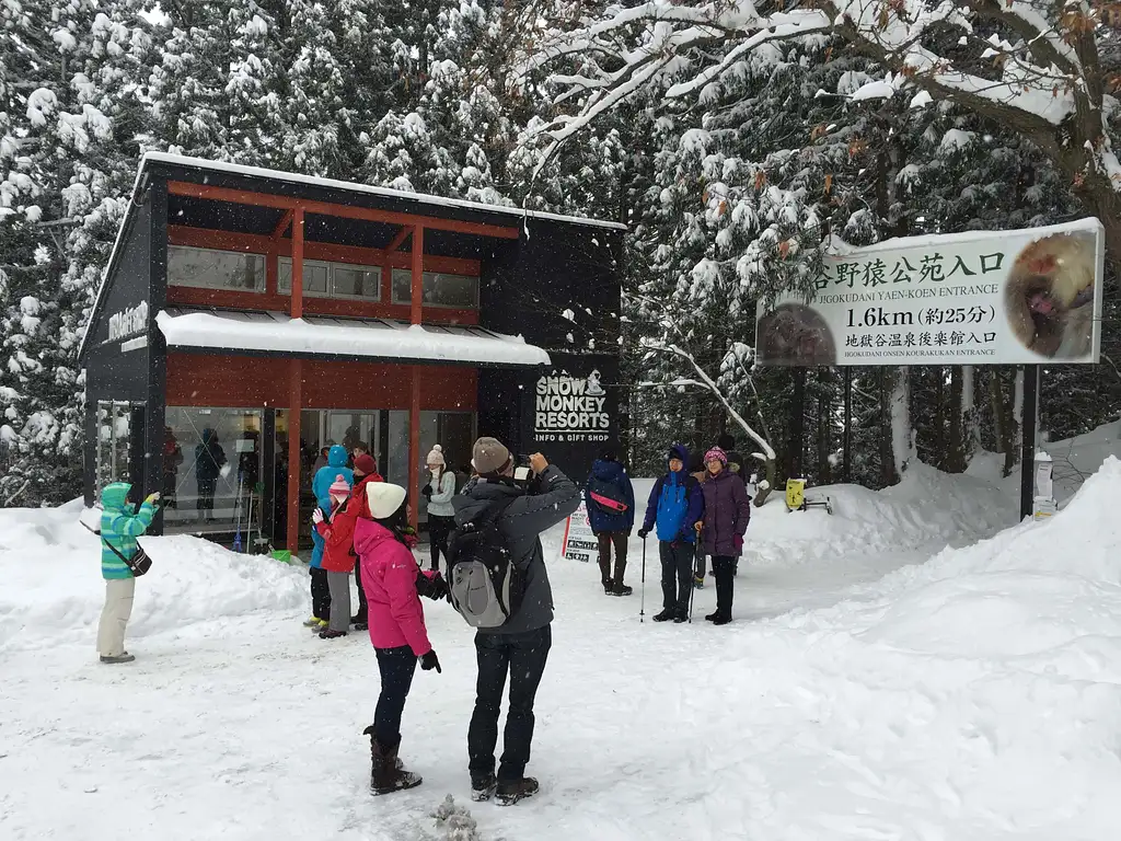 Snow Monkeys, Zenko-ji Temple & Sake 1 Day Tour