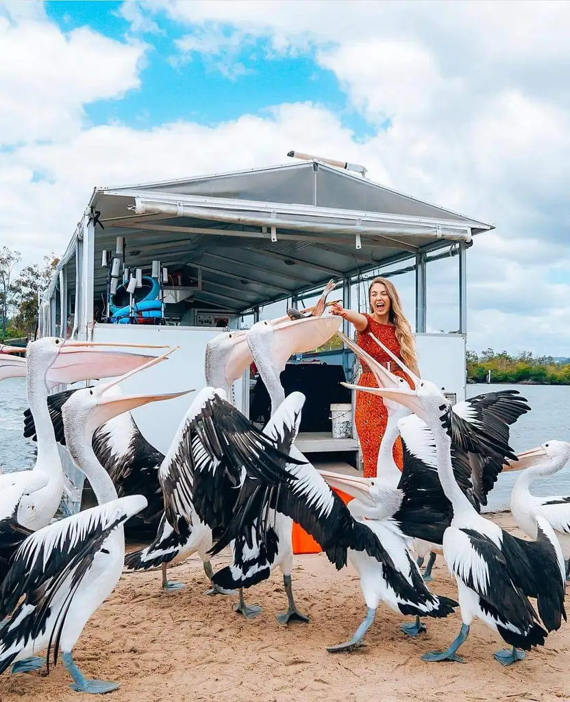 BBQ Pontoon Boat - Tweed Heads