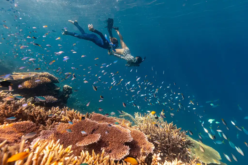 Outer Reef Snorkelling Adventure