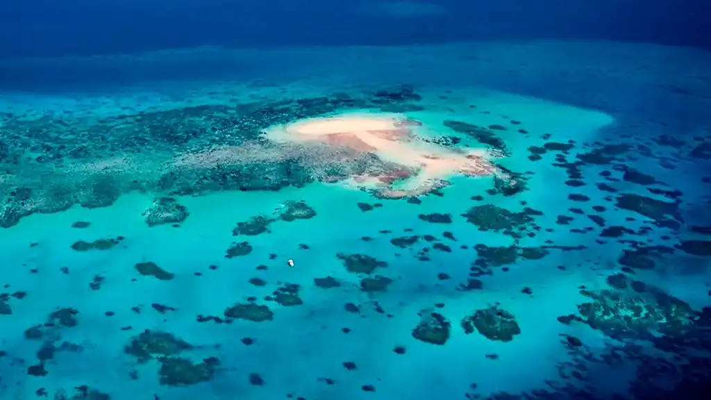 Outer Edges of The Great Barrier Reef Scenic Flight