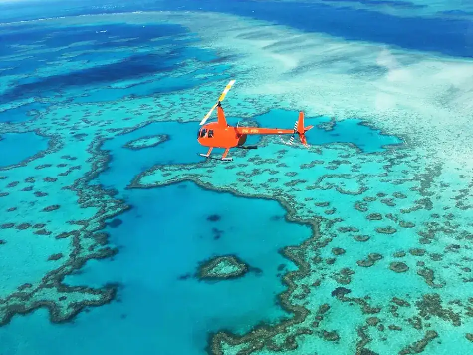 Reef & Whitehaven Beach Landing Helicopter Tour - 2.5 Hours