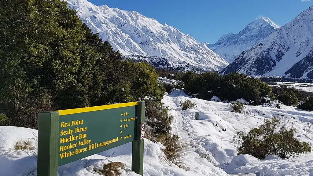 Mt Cook Tour & Ultimate Alpine Experience Combo from Queenstown