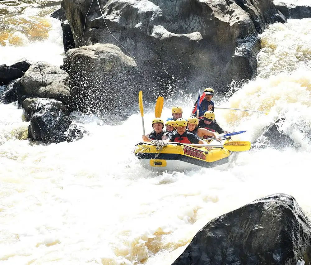 Half Day Barron River Rafting