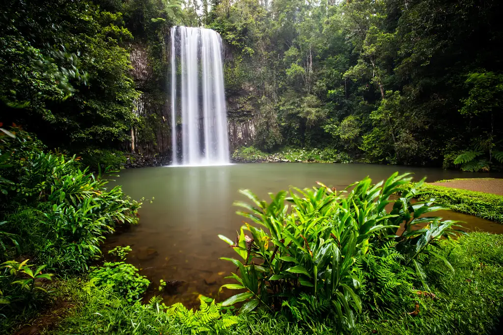 5 Day Atherton Tablelands Eco Tour