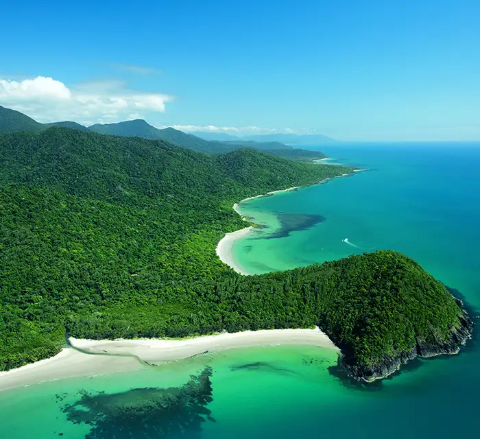 Cape Tribulation Day Tour With Mossman Gorge and Daintree Rainforest