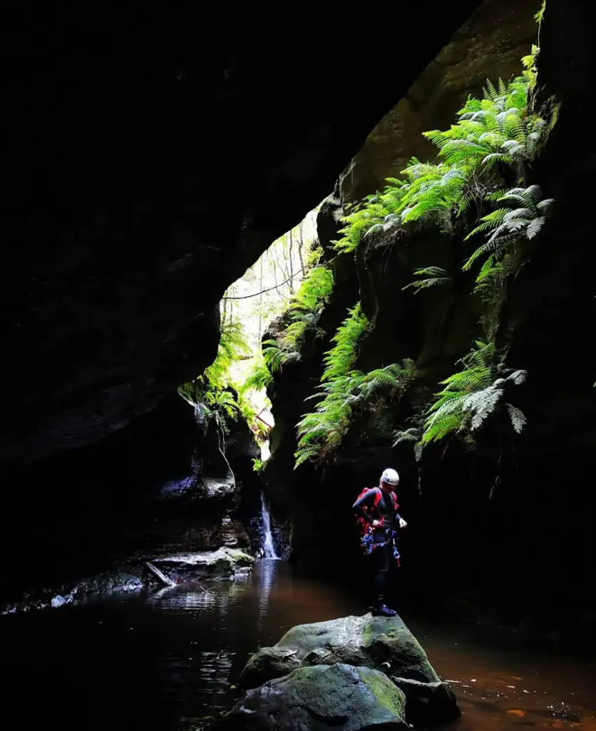 Serendipity Canyon - Blue Mountains Abseiling Tour