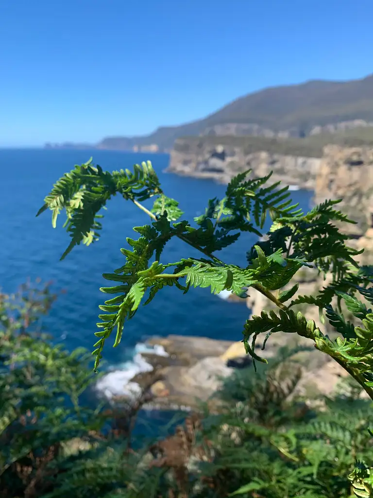 4 Day, 3 Night Tasman Peninsula Walking Experience