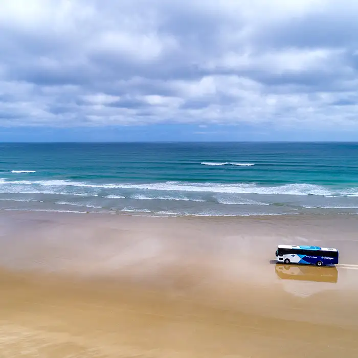 Cape Reinga and Ninety Mile Beach Tour