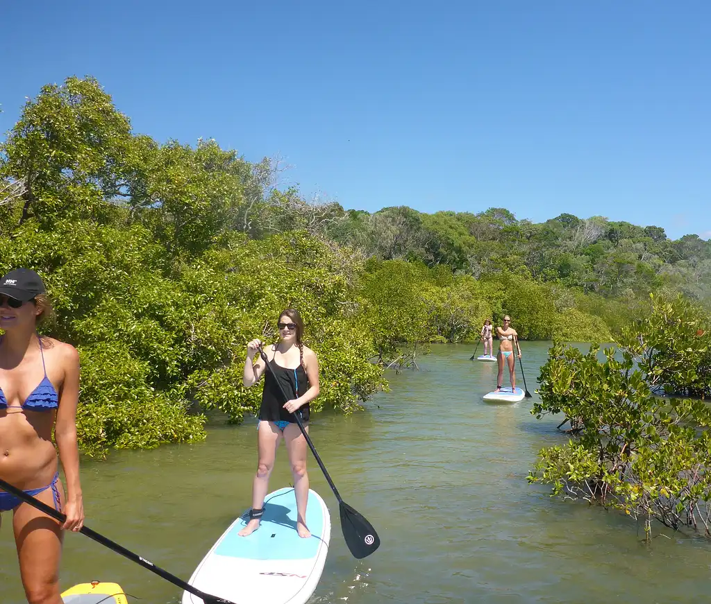 Stand Up Paddle Hidden Waterways & Wildlife Tour - 2 Hour