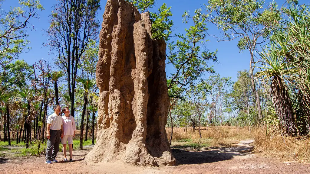 Litchfield National Park Waterfalls Tour (D5)