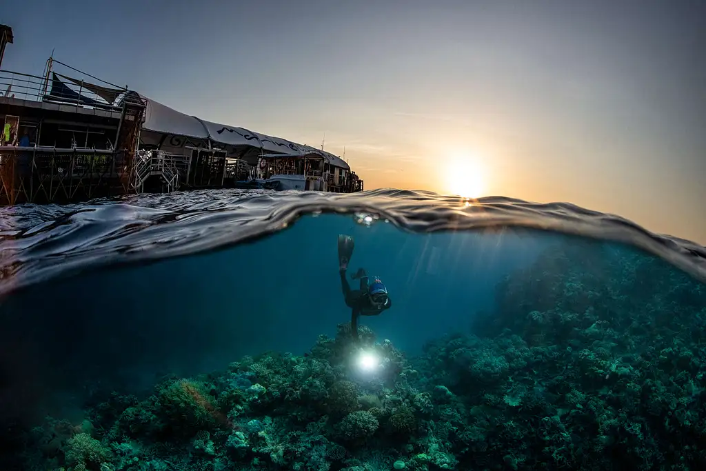 Cairns to Great Barrier Reef Cruise | Reef Magic Cruises